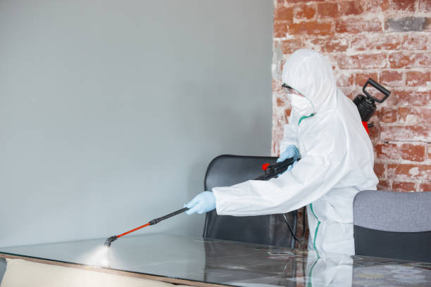 Best Asbestos and Lead Testing During Mold Inspection  in USA